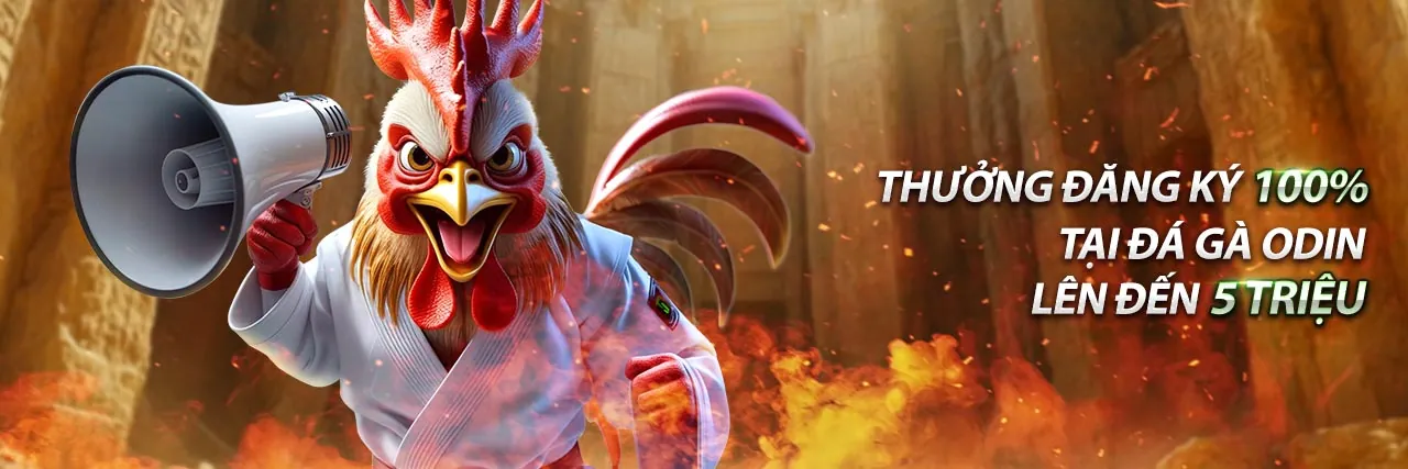 Ưu đãi và khuyến mãi độc quyền tại qq88